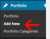 portfolio