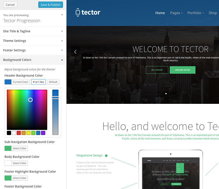 theme options