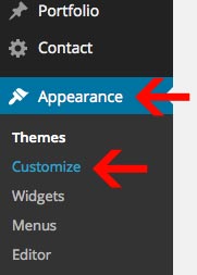 theme options